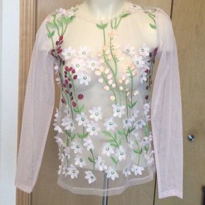 Zara blush sheer tulle mesh floral embroidered top